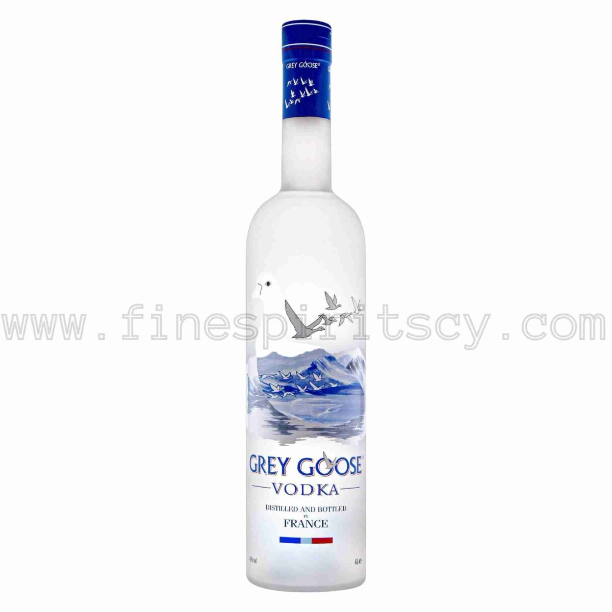 Grey Goose Vodka 6000ml 600cl 6L magnum France French